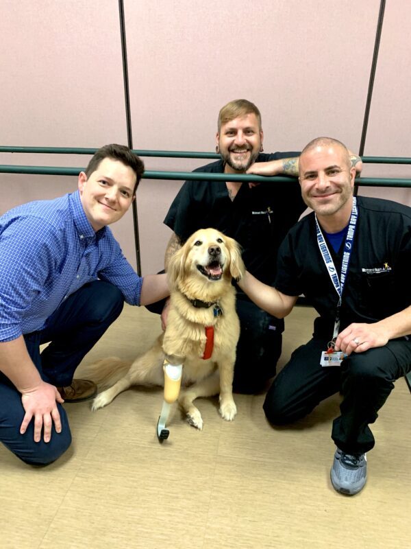 Prosthetic Dog Leg Blog Westcoast Brace and Limb