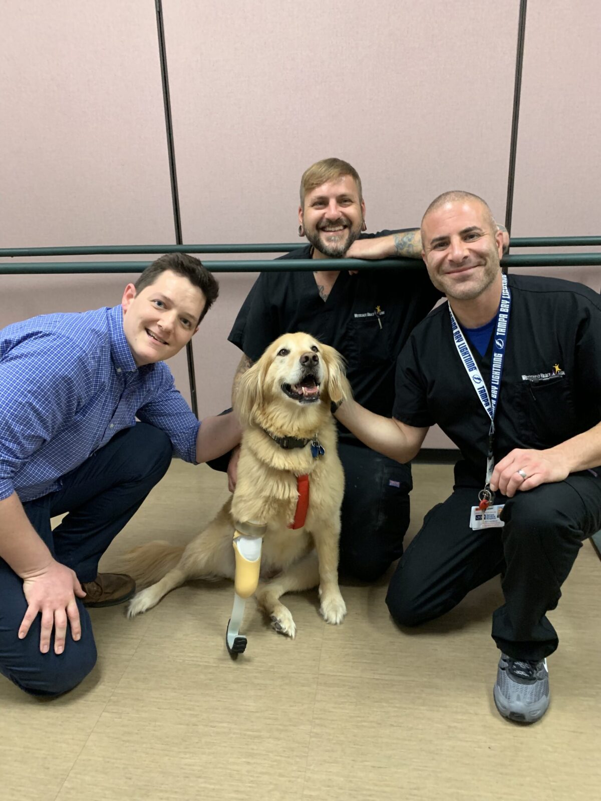 3 male prosthetics practitioners kneeling with golden retriever who is wearing a prosthetic dog leg.